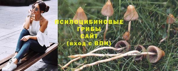 мяу мяу мука Абдулино
