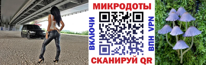 kraken как войти  Димитровград  Псилоцибиновые грибы Psilocybe  дарнет шоп 
