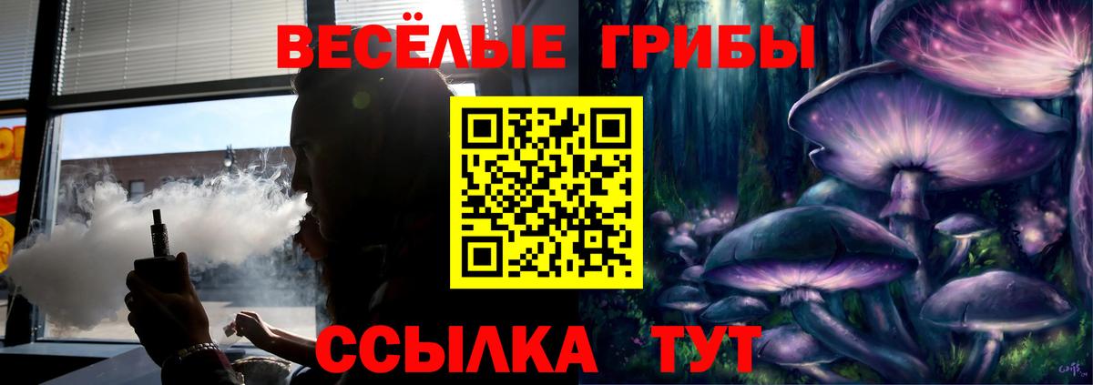 Галлюциногенные грибы Psilocybine cubensis  Вход с VPN  Димитровград 