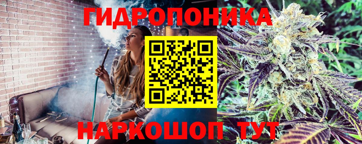 Бошки марихуана план Димитровград